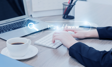 杏仁中黃曲霉毒素含量的檢測方法