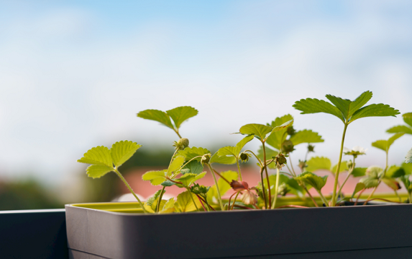 想要選擇高性價比的土壤養(yǎng)分檢測儀器?不妨看看這篇解析