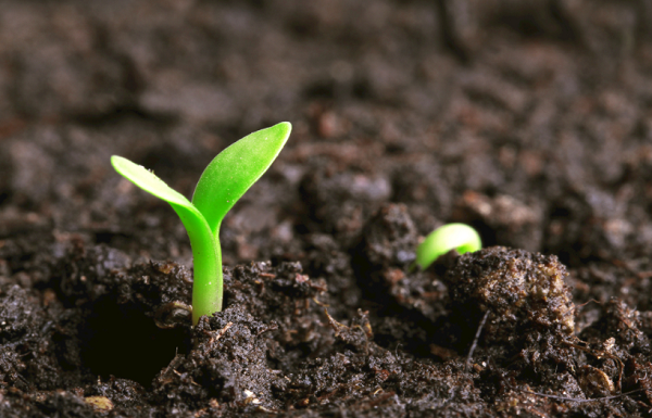 土壤墑情監(jiān)測儀生產(chǎn)廠家哪家好?