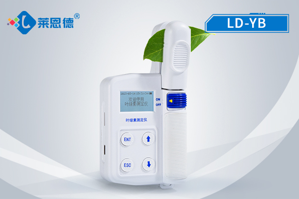 如何選擇適合的葉綠素測定儀?萊恩德葉綠素測定儀使用指南