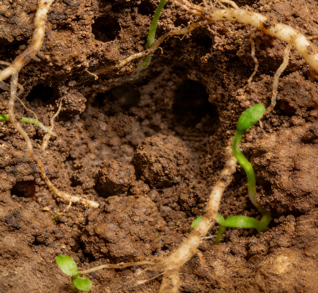 土壤養(yǎng)分快速檢測儀哪個靠譜？國產土壤養(yǎng)分速測儀權威評測與選購指南