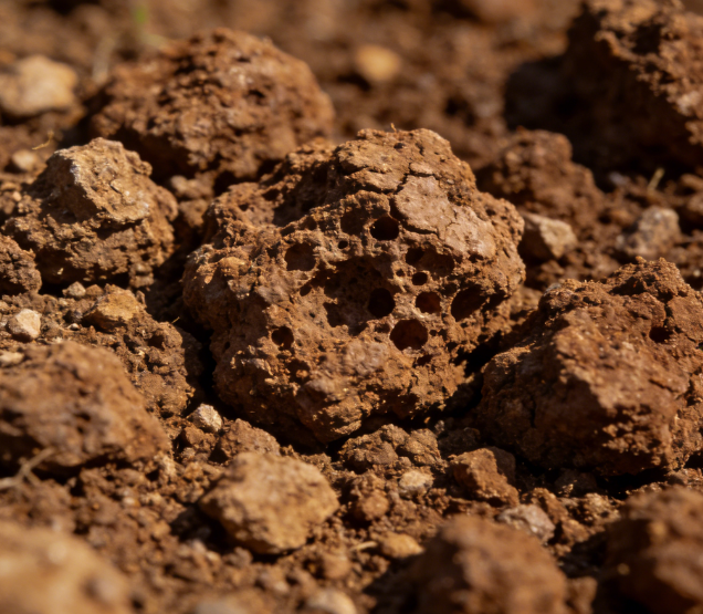 實(shí)驗(yàn)室土壤團(tuán)粒分析儀哪家好?高精度品牌排名推薦